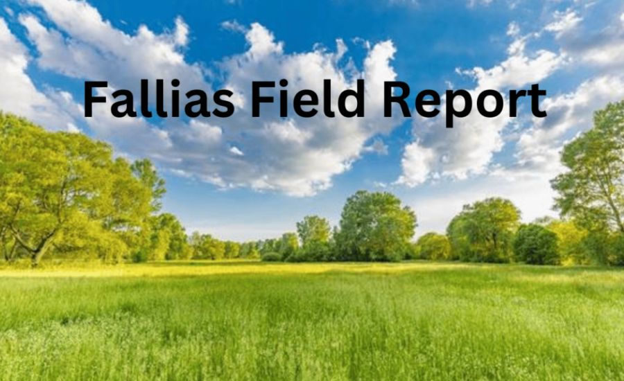 Benefits and Features of Fallias Field Report