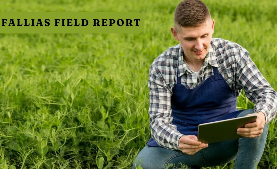 Success Stories from Farmers Using Fallias Field Report