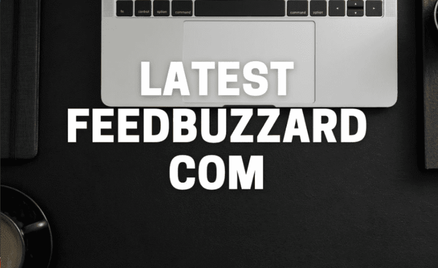 User Data and Privacy Handling at FeedBuzzard.com