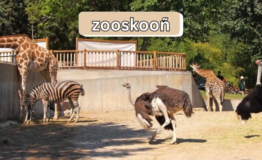 Join the Zooskooñ Community